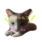 家族のとある日（個別スタンプ：8）