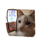 家族のとある日（個別スタンプ：11）