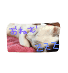 家族のとある日（個別スタンプ：15）