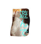 家族のとある日（個別スタンプ：16）