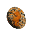 the sea（個別スタンプ：4）
