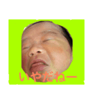 Habo's stamp（個別スタンプ：6）