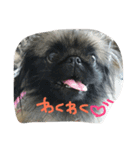 るなたん（個別スタンプ：1）