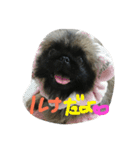 るなたん（個別スタンプ：11）