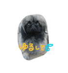 るなたん（個別スタンプ：12）