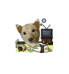 ウチの家族（個別スタンプ：1）