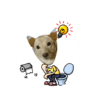 ウチの家族（個別スタンプ：2）