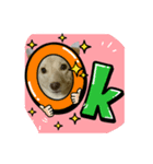 ウチの家族（個別スタンプ：6）