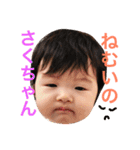 さくちゃんのスタンプ1（個別スタンプ：15）