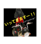 ドッグ挨拶（個別スタンプ：2）