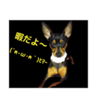 ドッグ挨拶（個別スタンプ：6）