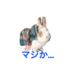 うさぎのポロさんスタンプ（個別スタンプ：9）