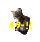 我が家癒やし隊（個別スタンプ：2）