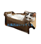我が家癒やし隊（個別スタンプ：4）