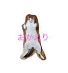 我が家癒やし隊（個別スタンプ：5）