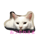 我が家癒やし隊（個別スタンプ：7）