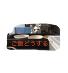 我が家癒やし隊（個別スタンプ：9）