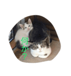 我が家癒やし隊（個別スタンプ：13）