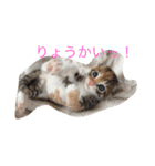 我が家癒やし隊（個別スタンプ：14）