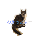 我が家癒やし隊（個別スタンプ：15）