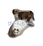 我が家癒やし隊（個別スタンプ：31）