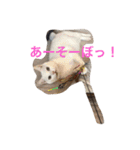 我が家癒やし隊（個別スタンプ：38）