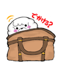 うちの白プードル（個別スタンプ：5）