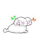 うちの白プードル（個別スタンプ：11）