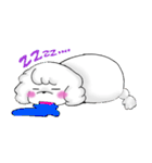 うちの白プードル（個別スタンプ：17）