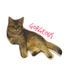 Kitty Overload Vol.1（個別スタンプ：7）
