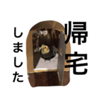 chocbo＆piggy2（個別スタンプ：8）