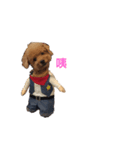 coffins dog（個別スタンプ：1）
