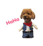 coffins dog（個別スタンプ：3）