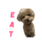 coffins dog（個別スタンプ：5）