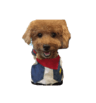coffins dog（個別スタンプ：6）