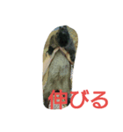うさぎもみちゃん（個別スタンプ：1）