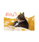 心愛さんとお姫（個別スタンプ：5）