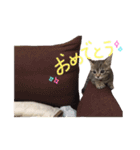 心愛さんとお姫（個別スタンプ：9）