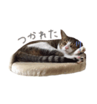 心愛さんとお姫（個別スタンプ：12）