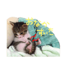 心愛さんとお姫（個別スタンプ：14）