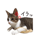 心愛さんとお姫（個別スタンプ：16）