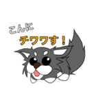 たま犬さん2（個別スタンプ：1）