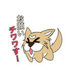 たま犬さん2（個別スタンプ：2）
