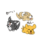 たま犬さん2（個別スタンプ：3）