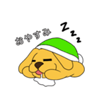 たま犬さん2（個別スタンプ：7）
