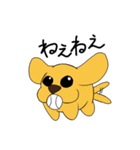 たま犬さん2（個別スタンプ：11）