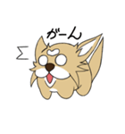 たま犬さん2（個別スタンプ：14）