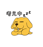 たま犬さん2（個別スタンプ：17）