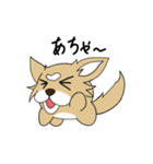 たま犬さん2（個別スタンプ：18）