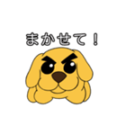 たま犬さん2（個別スタンプ：19）